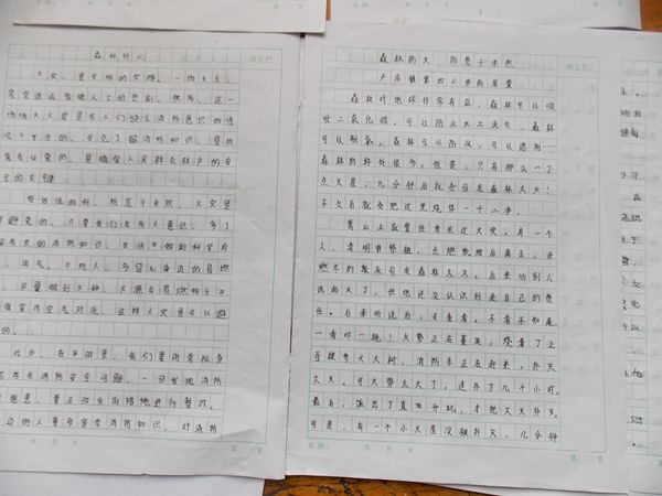 消防安全知识征文_消防征文_消防征文
