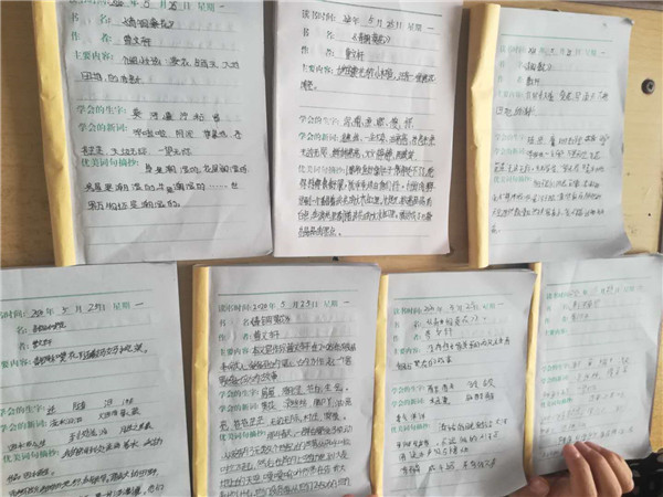[少林路小学]不"疫"样的《青铜葵花》课堂,同样的精彩